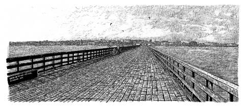 snublic drawing illustration artwork ink black and white topical political social satire satirical commission sketch pen cross hatch limited edition giclee prints available £100 walton pier seaside england pier town landscape scene sea seagulls fishing